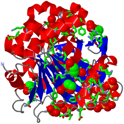 Image Asym./Biol. Unit - sites