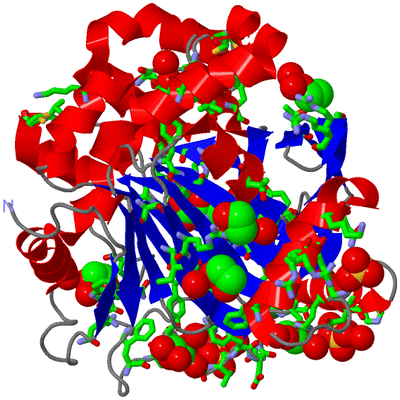 Image Asym./Biol. Unit - sites