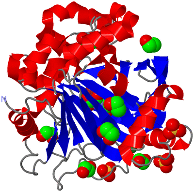 Image Asym./Biol. Unit