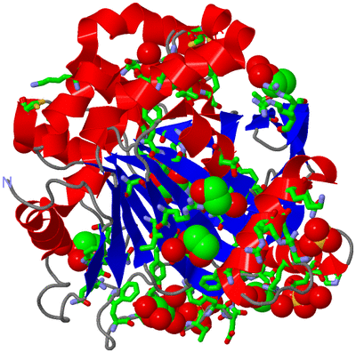 Image Asym./Biol. Unit - sites