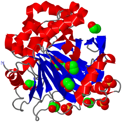 Image Asym./Biol. Unit