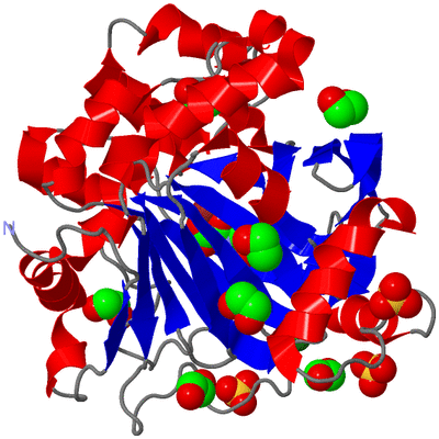 Image Asym./Biol. Unit