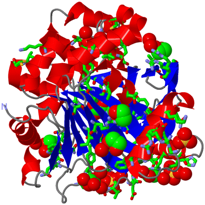 Image Asym./Biol. Unit - sites