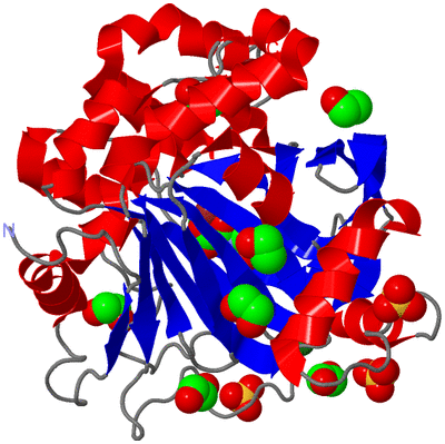 Image Asym./Biol. Unit