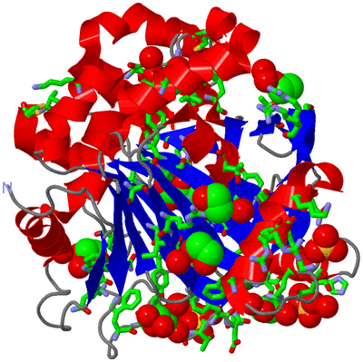 Image Asym./Biol. Unit - sites