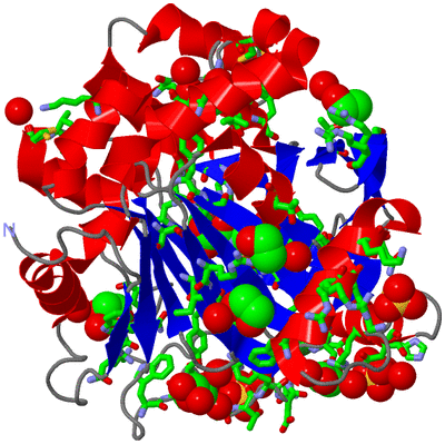 Image Asym./Biol. Unit - sites