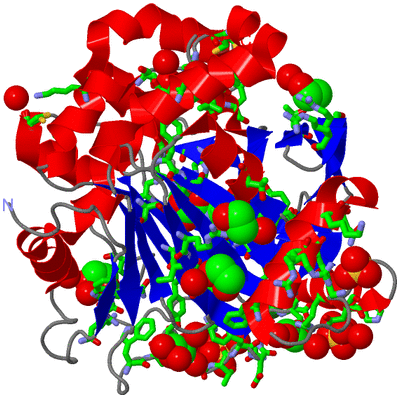 Image Asym./Biol. Unit - sites