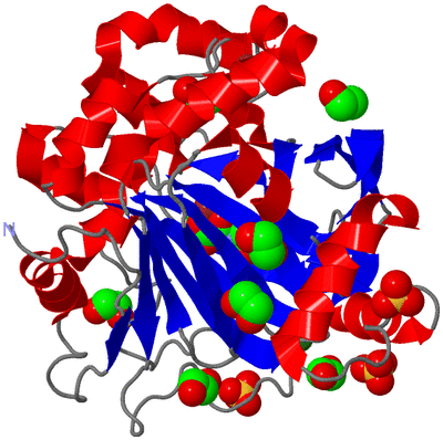 Image Asym./Biol. Unit