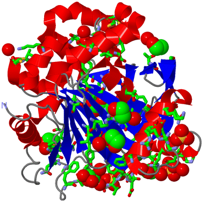 Image Asym./Biol. Unit - sites