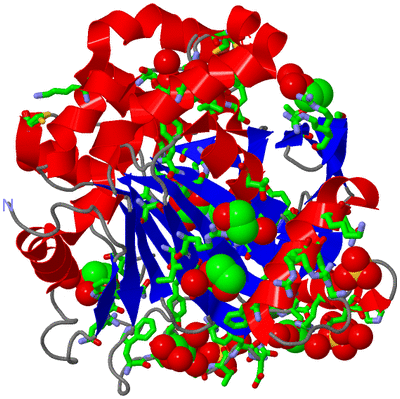 Image Asym./Biol. Unit - sites