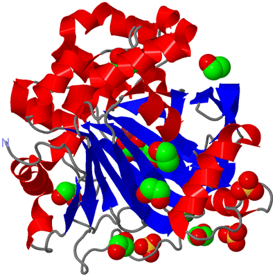 Image Asym./Biol. Unit