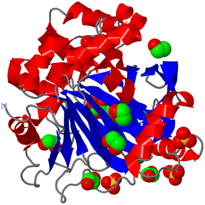 Image Asym./Biol. Unit