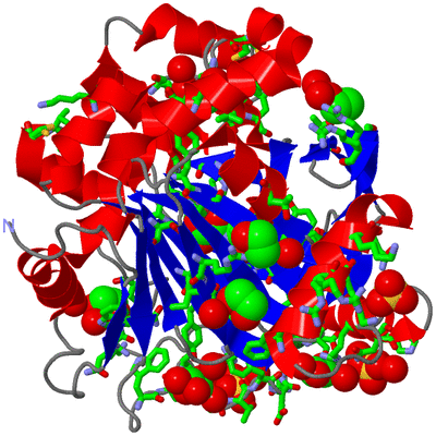 Image Asym./Biol. Unit - sites