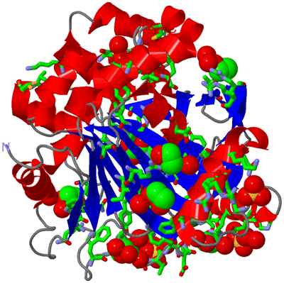 Image Asym./Biol. Unit - sites