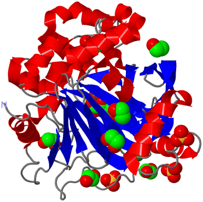 Image Asym./Biol. Unit