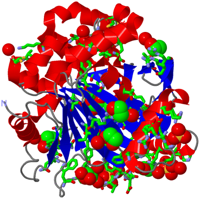 Image Asym./Biol. Unit - sites