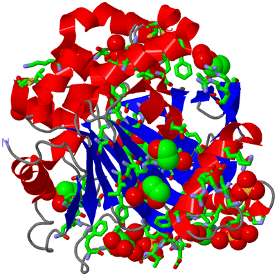 Image Asym./Biol. Unit - sites