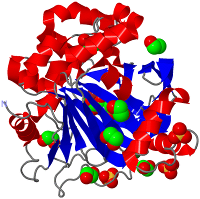 Image Asym./Biol. Unit