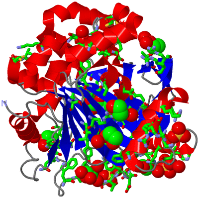 Image Asym./Biol. Unit - sites