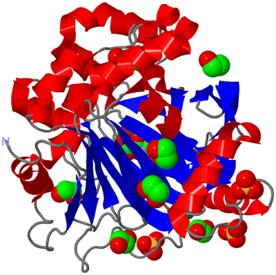 Image Asym./Biol. Unit