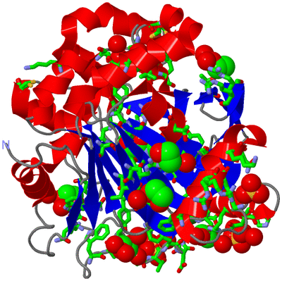 Image Asym./Biol. Unit - sites