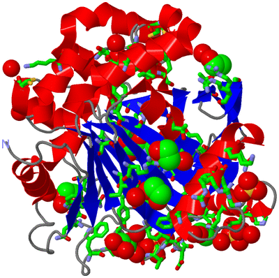 Image Asym./Biol. Unit - sites