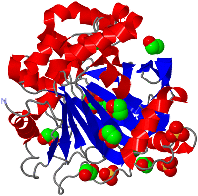 Image Asym./Biol. Unit