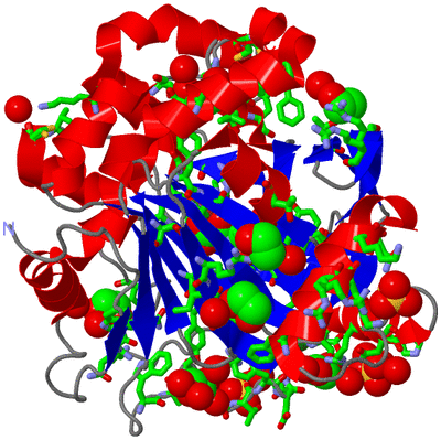 Image Asym./Biol. Unit - sites