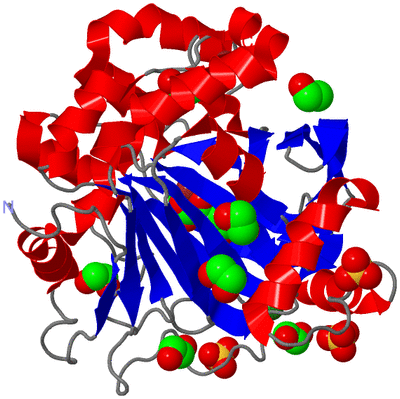 Image Asym./Biol. Unit