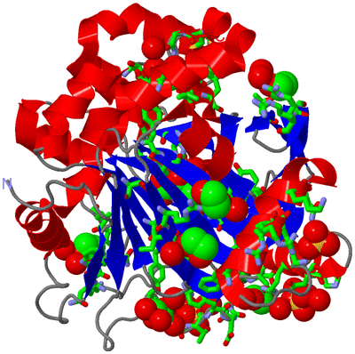 Image Asym./Biol. Unit - sites