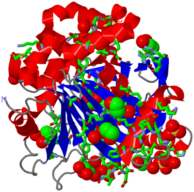 Image Asym./Biol. Unit - sites