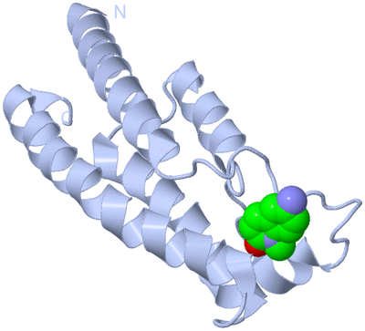 Image Biological Unit 1