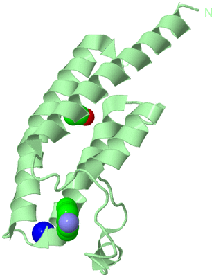 Image Biological Unit 2