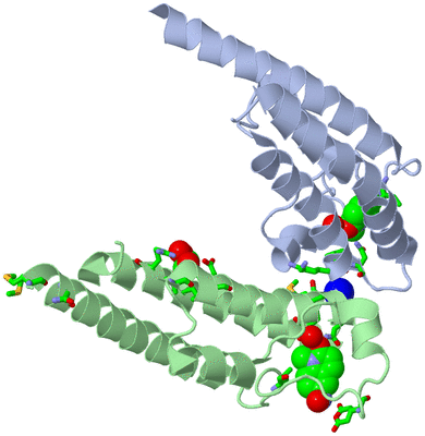 Image Asym. Unit - sites