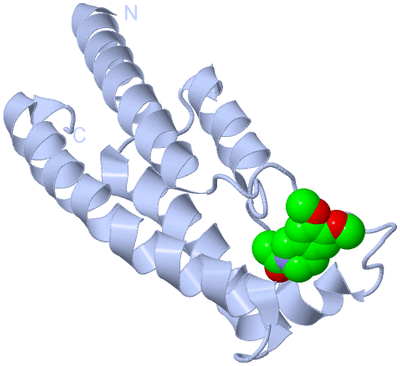 Image Biological Unit 1