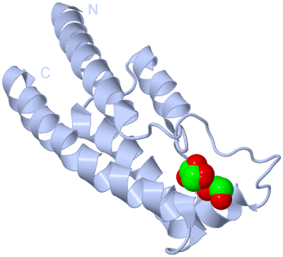 Image Biological Unit 1