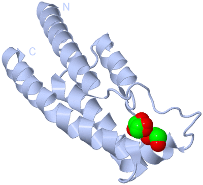 Image Biological Unit 1