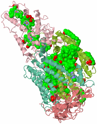 Image Asym./Biol. Unit