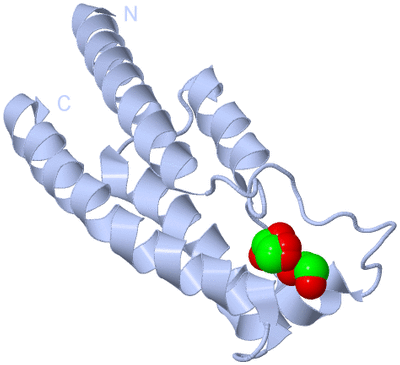 Image Biological Unit 1