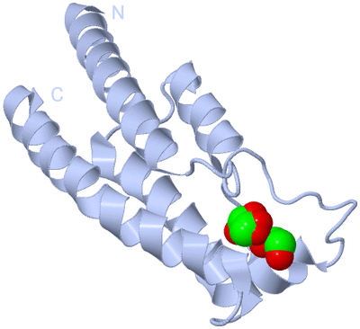 Image Biological Unit 1