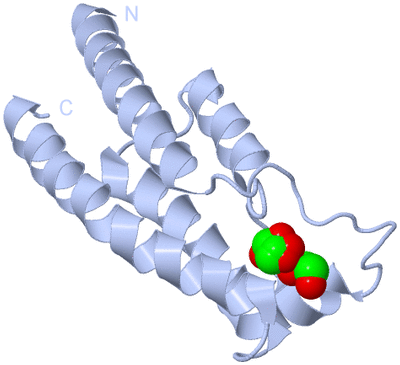 Image Biological Unit 1