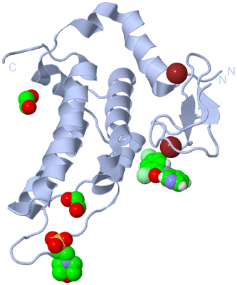 Image Biological Unit 1