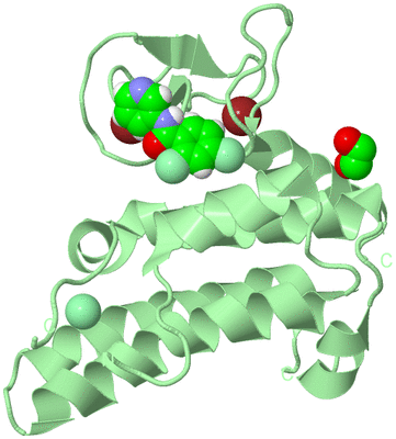 Image Biological Unit 2