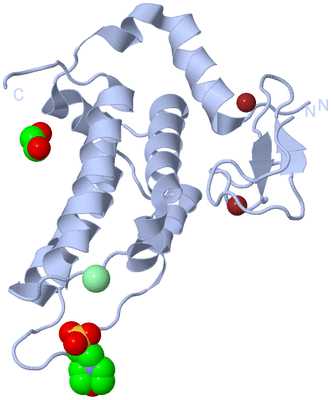 Image Biological Unit 1