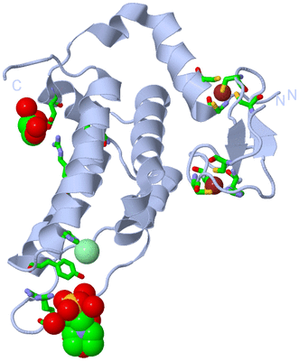 Image Biol. Unit 1 - sites