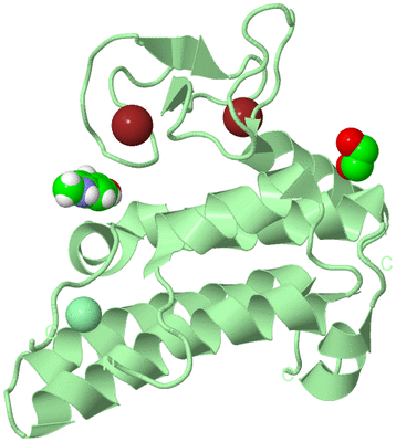 Image Biological Unit 2