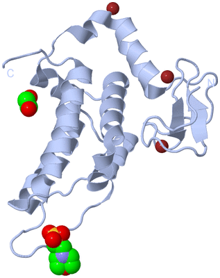 Image Biological Unit 1