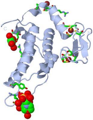 Image Biol. Unit 1 - sites