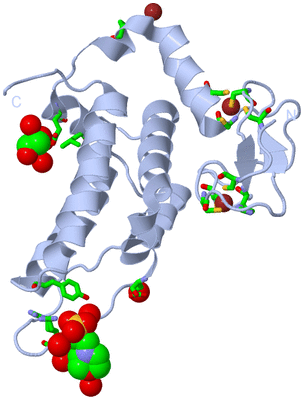 Image Biol. Unit 1 - sites