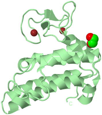 Image Biological Unit 2